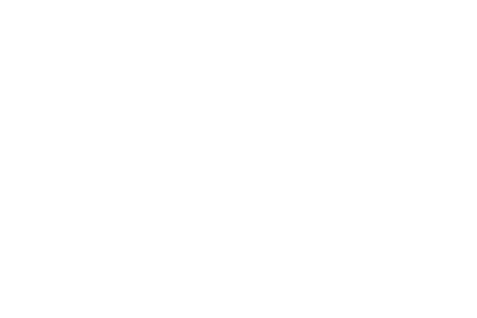 we design because we love to